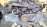 Двигатель Subaru EJ201-423611 БЕЗ  ЕГР  ,БЕЗ ГУР Forester/Legacy/Impreza SF5-165901 '2001-