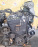 Двигатель Honda B20B-3412356 2WD/4WD БЕЗ ТРАМБЛЕРА Stepwgn RF2-1402751 '-1999