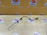 Датчик ABS Honda Stepwgn/S-MX RF1/RF2/RH1/RH2 перед, лев НЕТ ФИШКИ B20B 57455-S47-J50 '1996-2001