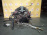 Двигатель Maserati M139A/M139-083493 4.2L Quattroporte MQ '2004