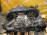 Двигатель Subaru EJ204-D945682 С  2 ЕГР Legacy/Forester/Exiga '2009-