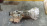 МКПП Isuzu 6VD1 4WD раздатка не TOD с эл. мотором и рычагом Bighorn/Wizard/VehiCross UES26