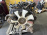 Двигатель Nissan VG33-438159 Terrano R50