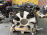 Двигатель Nissan VG33-366695 Terrano R50