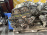 Двигатель Mitsubishi 4G63-UA7140 2WD/4WD 2 вальн DOHC с датчиком коленвала Chariot/RVR N23W