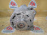 Генератор Audi CTGA A8 D4/4HC '2016 4.0L V8 TFSI с охлаждением 14V 190A 079903015P