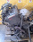 Двигатель Toyota 3S-FE-1815340 2WD трамб без навесного Camry/Vista/Corona SV41-0017751