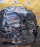 Двигатель Toyota 1ZZ-0731311 без охлаждения  пробег 61т.км Vista Ardeo ZZV50-0034815