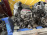Двигатель Suzuki M16A-1025766 БЕЗ VVTI ( 2 катушки ) Swift/SX4