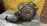 АКПП Honda J35A BVGA 4WD Pilot