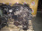 Двигатель Ford Focus 2 SHDA-8R85964 1.6L Duratec 16V PFI (100PS) Sigma 5MT БЕЗ НАВЕСНОГО 1472848 CAP '2008