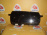 Панель приборов Honda Odyssey RB2 78100-SFF-9530-M1