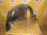 Подкрылок SUZUKI SX4 YC11S '2008 зад, прав Sedan 75511-79J0
