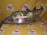 Фара HONDA P7026 лев Elysion RR2 Xenon (в сборе) Дефект стекла (царапины)