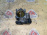 Заслонка дроссельная Opel LLU/A16LET Astra J P10 '2014 1.6L Turbo (треснута фишка) 55565260