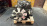 Двигатель Isuzu 4JG2-258114 4WD Elf