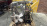 Двигатель Suzuki G16B-537890 4WD ТРАМБЛЁР 16 VALVE Escudo