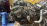 Двигатель Mazda AJ-355259 4WD DOHC 24 кл. V6 БЕЗ КОНДЁРА Tribute EPEW