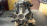 Двигатель Isuzu 6HL1-3148?? МЕХ ТНВД Forward
