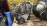 Двигатель Honda F22B-4315673 2WD/4WD БЕЗ ТРАМБЛЕРА И КОНДЕРА Odyssey RA
