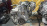 Двигатель Honda F23A-1011965 БЕЗ ТРАМБЛЕРА И КОНДЕРА Accord CF6