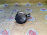 Вакуумный насос BMW M47N2/M57N2 X5 E70/E83 '2008 11667791232