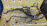 Коса ДВС Toyota 2UZ-FE Sequoia UCK45 '2004- 4WD a/t VVTi  A750F 82121-34343