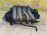 Коллектор впускной Volkswagen AXW/BLR/BLX/BVY Passat 1K1/1T1/B6/3C2 скол 06F133210K