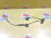 Датчик ABS Toyota Corolla ZZE122/NZE120/NZE121/ZZE123/ZZE124/ZZE127/ZZE128/ZZE129 перед, прав НЕТ ФИШКИ 1NZFE 89542-12070