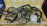 Коса ДВС Toyota 3S-FE Carina ED ST182 '08.1991-11.1992 ДЕФЕКТ + комп. 896612B190 + катушка 1950074040 + коммутатор 8962126010( трамб. ( 2 конт. ) A140