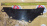 Кожух маховика Toyota 11361-0C010 Hilux Surf RZN185/RZJ95 3RZ 2WD/4WD a/t акпп=мкпп