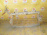 Рамка радиатора NISSAN March K13 '2010-2013 F2511-1HHMA (Оранжевый)