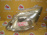 Фара Toyota 100-51958 лев Passo Sette M502E '2008-2012 Дефект крепления Дефект стекла