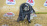 Подушка двигателя Toyota 3S-FE/3S-FSE Ipsum/Nadia SXM10/SXN10/SXN10 перед, лев 12372-16351 /-16350