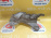 Кронштейн опоры двигателя Chevrolet 2H0/F18D4/LWE/F18D4 Cruze J300 '2013 Правый верхний C4 перед, прав в 13248511