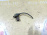 Датчик ABS Nissan Sunny Y11/B15/G10 перед, прав ОБРЕЗАНА ФИШКА QG13DE 47910-4M410/47910-4M460/47910-4M700 '1998-2003