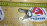 Крепление ТНВД Toyota 1C/2C/2C-T/3C-E/3C-T/3C-TE Town Ace Noah/Corolla CR30/CR40/CR50/CT170/CT190/CT210/CE80/CE90/CE100/CXM10 '1983-2004 1 части R 221