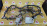 Коса ДВС Nissan QG18-DE Bluebird Sylphy QG10-114306 2WD a/t + комп 237106N100 + 310366N102 лямбда зонт на 6 конт. мех заслонка 240116N000 / 240116N00A