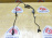 Датчик ABS Mitsubishi ASX/Outlander/Lancer CY4A/CX3A/CW5W/CW1W/GA2W зад, прав DRUM 4670A580/4670A838/4670B324/4670B416