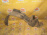 Подкрылок HONDA Stepwgn RF1/RF2 '1996-2001 перед, прав Дефект 74101-S47-0006