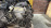 Двигатель Toyota 2NZ-FE-2043173 SWAP В СБОРЕ С АКПП СТАРТЕР КОСА КОМП Funcargo NCP10-0137559 ПРОБЕГ 98 Т КМ