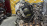 Двигатель Toyota 3S-FSE-8009622 тнвд 23100-74041 Vista Ardeo/Nadia SV50-0056127 ПРОБЕГ 152 Т КМ