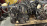 Двигатель Honda F23A-2518505 БЕЗ ТРАМБЛЕРА  КОНДЕРА И ГЕНЕРАТОРА Odyssey RA7-1302911