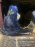 Крыло Toyota Vitz/Yaris KSP90 '2005-2007 перед, прав (с отверстием) Дефект (53811-52210) (Белый)