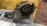МКПП Toyota 3S-FE-7083008 E59F-04B 4WD без датчика  спидометра Camry SV43-0015870