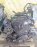 Двигатель Honda B20B-3411988 2WD/4WD БЕЗ ТРАМБЛЕРА И КОМПРЕССОРА Stepwgn RF2 '2000-