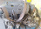 Двигатель Mitsubishi 4B10-GR4348 ASX GA3W