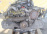 Двигатель Subaru EJ152-C234159 ЕГР В СБОРЕ Impreza GG2 '2005-