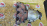 Коллектор выпускной Mitsubishi 4B11 Outlander GG2W 4WD CVT 1 VVTI 1555A718