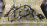 Коса ДВС Mazda ZL-VE Familia BJ5W-401380 2WD a/t ДЕФЕКТ + компьютер ZL5018881A без дат. спидометра 5 положений селектора B34D67020